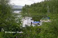Squam Lake, NH - Lake with Flowers